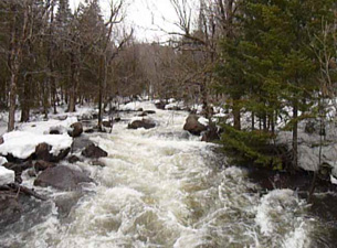 Rivière en crue